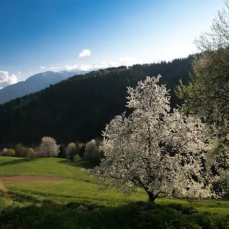 Quiet With A Terrace On Organic Farm Appartement