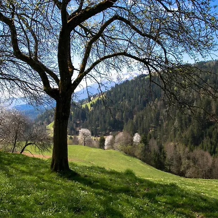 Quiet With A Terrace On Organic Farm Prevalje