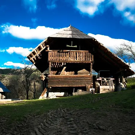 Quiet With A Terrace On Organic Farm アパート Prevalje