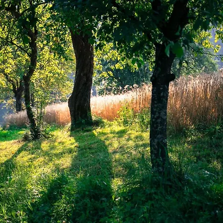 Quiet With A Terrace On Organic Farm Appartement
