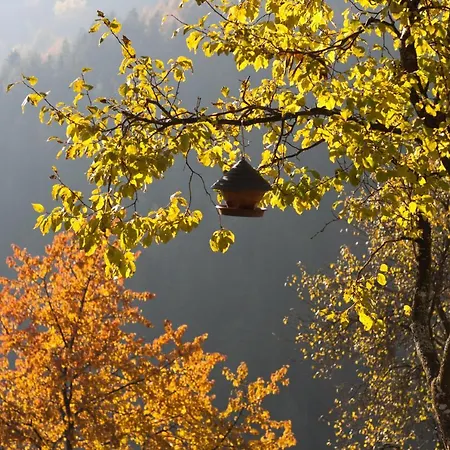 Quiet With A Terrace On Organic Farm アパート
