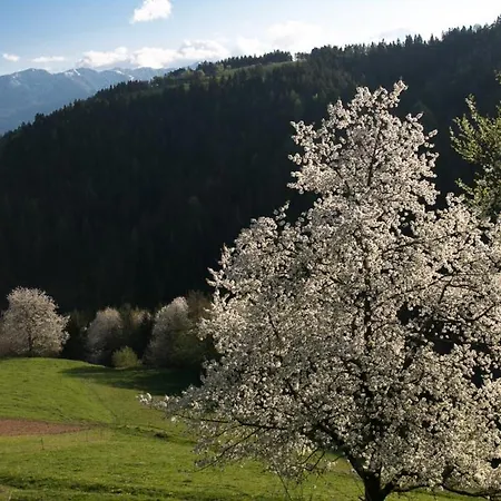 Quiet With A Terrace On Organic Farm