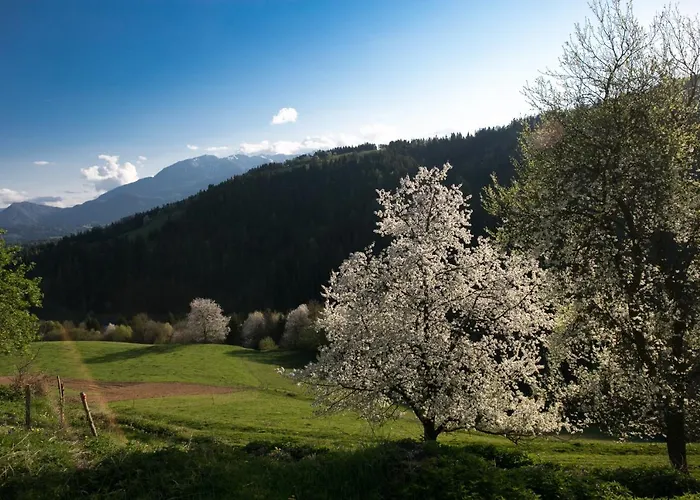 Quiet With A Terrace On Organic Farm شقة