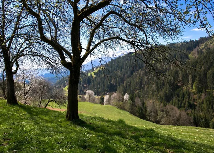 Quiet With A Terrace On Organic Farm Prevalje