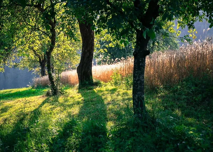 Quiet With A Terrace On Organic Farm شقة