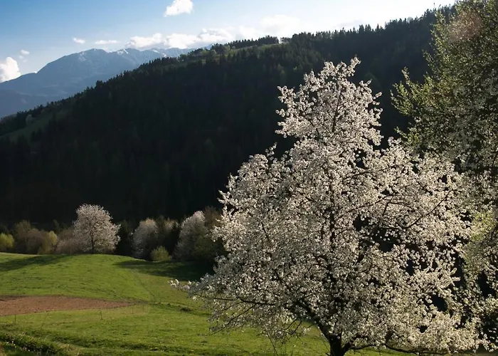 Quiet With A Terrace On Organic Farm